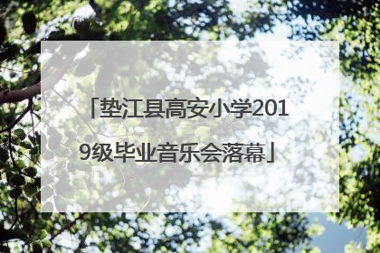 垫江县高安小学2019级毕业音乐会落幕